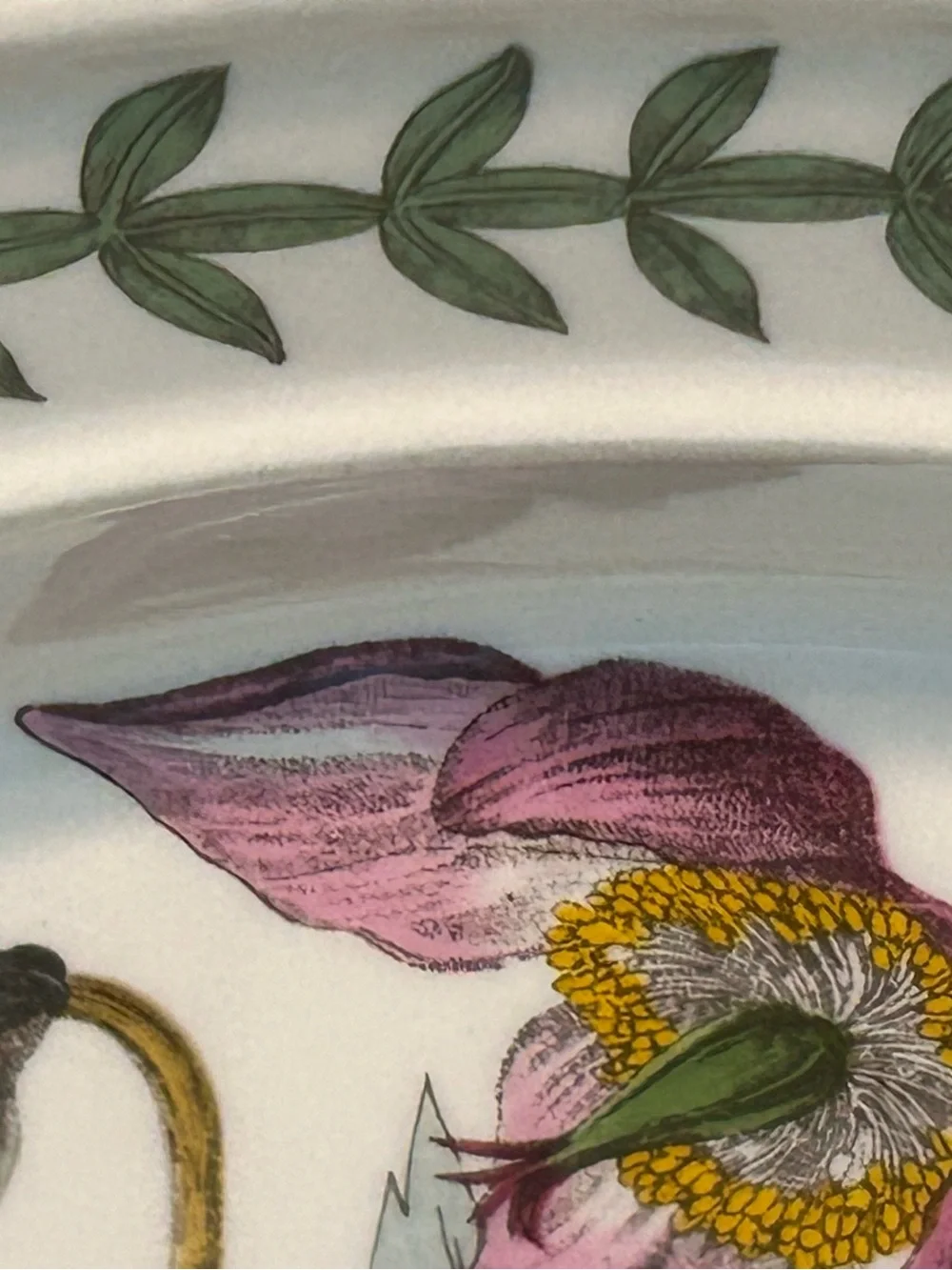PORTMEIRION BOTANIC GARDEN 10.5” Christmas Rose Dinner Plate Butterflies 1972
